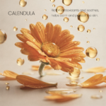 BLISSFULL TOUCH ORANGE BLOSSOM - Image 3